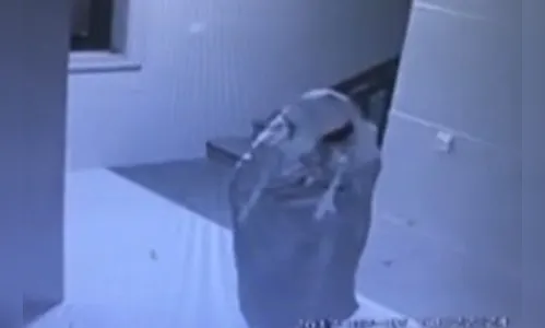 Para roubar em apartamento, homem se disfarça de fantasma - veja vídeo