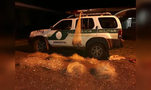 Polícia flagra prática de pesca predatória em Lidianópolis