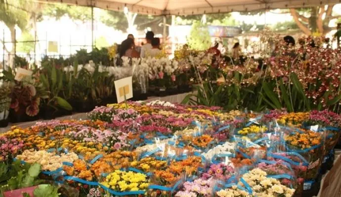 A Expoflor se destaca pela diversidade de flores e plantas e folhagens Foto: Divulgação
