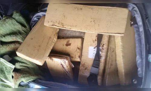 Adolescente é apreendida com 15 quilos de maconha em Arapongas