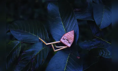 Crescimento urbano desenfreado é tema de exposição interativa