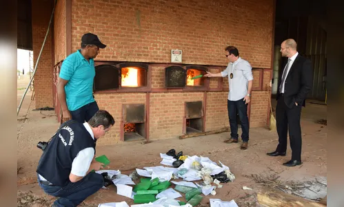 Polícia incinera 60 quilos de drogas apreendidas na região de Ivaiporã 